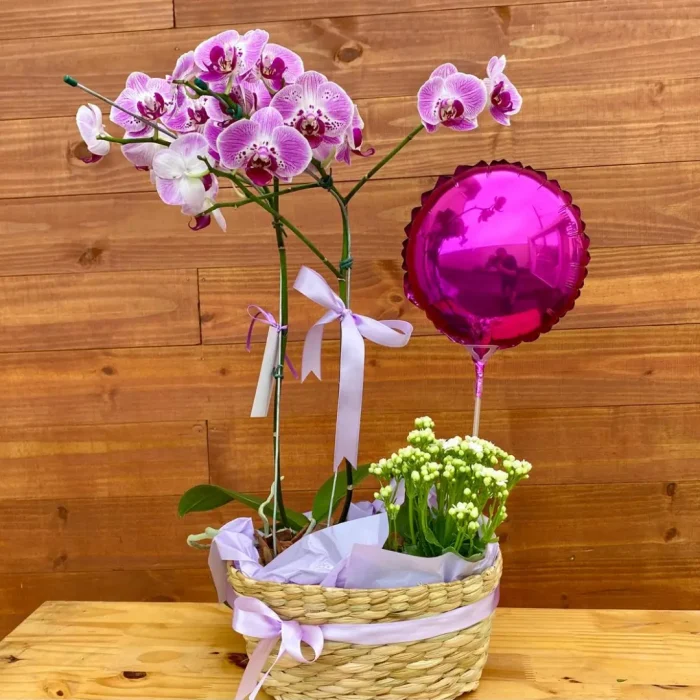 Floricultura perto de mim, flores online