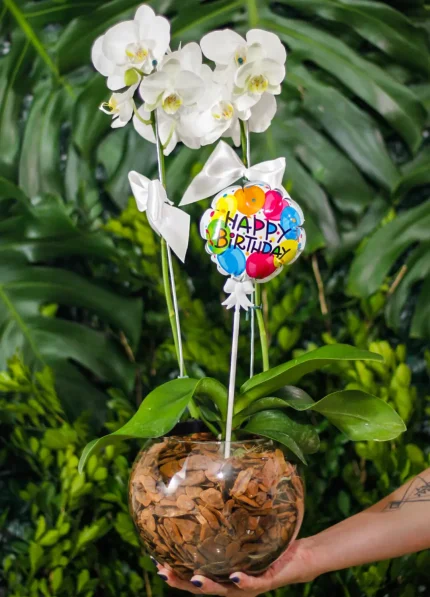 Vaso de Vidro com Orquídea é um lindo presente de aniversario ou para uma amiga